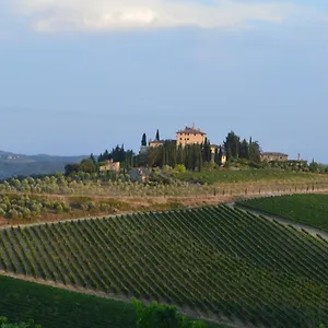Damario Panorama Affittacamere